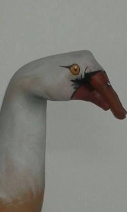 Maquillaje_manos_05